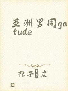 亚洲男同gay tude