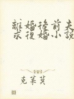 离婚后前夫哭着求复婚小说免费看封面