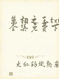 万相之王txt全集免费下载