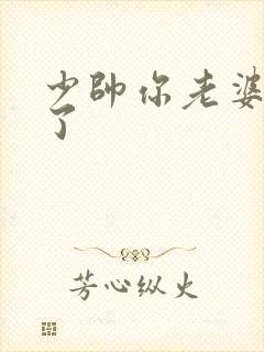 少帅你老婆又跑了