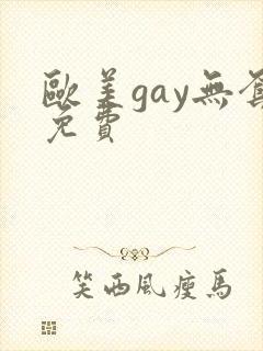 欧美gay无套免费封面