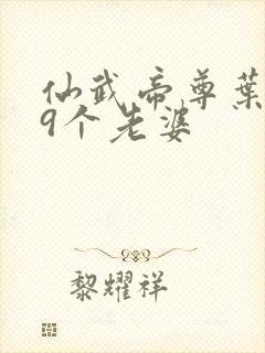 仙武帝尊叶辰19个老婆封面