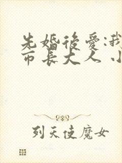 先婚后爱:我的市长大人 小说封面