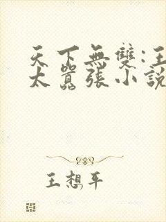 天下无双:王妃太嚣张小说阅读全文封面