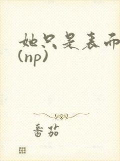 她只是表面清纯(np)封面