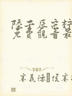 陆子辰宋柠小说免费观看最新章节