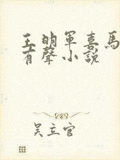 王明军喜马拉雅有声小说