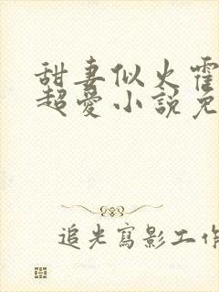 甜妻似火霍爷他超爱小说免费阅读