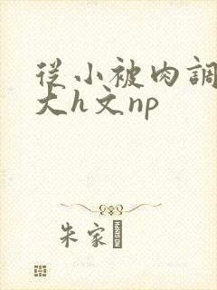 从小被肉调教到大h文np封面