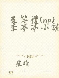 及笄礼(np)季亭亭小说最新封面