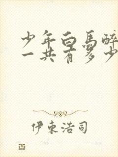 少年白马醉春风一共有多少集封面