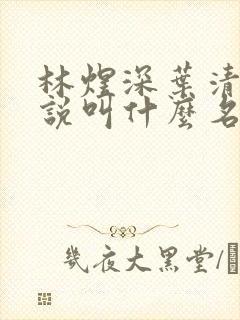 林煜深叶清瑶小说叫什么名字