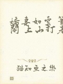 娇妻如云 笔趣阁 上山打老虎封面