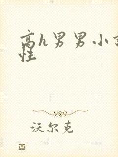 高h男男小说双性