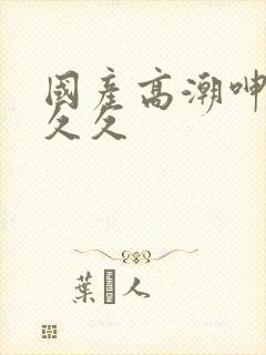 国产高潮呻吟久久久