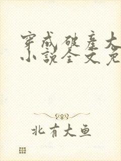 穿成破产大佬妻小说全文免费阅读