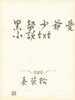 黑帮少爷爱上我小说txt