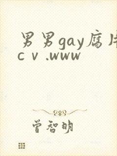 男男gay腐片cⅴ.www