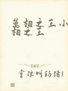 万相之王小说万相之王