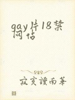 gay片18禁网站