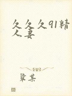 久久久91精品人妻