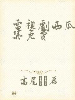 电视剧西瓜网全集免费