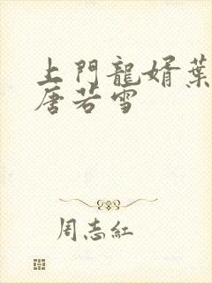 上门龙婿叶凡与唐若雪