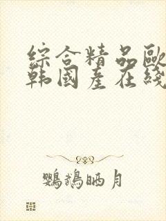 综合精品欧美日韩国产在线