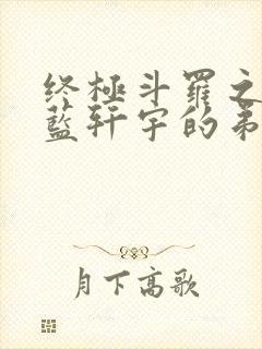 终极斗罗之我是蓝轩宇的弟弟