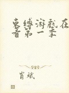 束缚游戏在线观看第一季