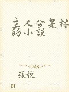 主人公是林晚晴的小说封面