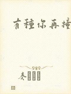 有种你再撞一下