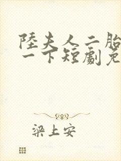 陆夫人二胎了解一下短剧免费观看全集