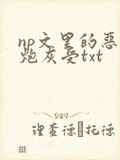 np文里的恶毒炮灰受txt