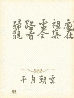 归路电视剧免费观看全集在线播放