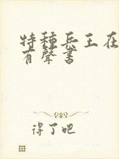 特种兵王在都市有声书