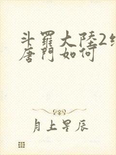 斗罗大陆2绝世唐门如何