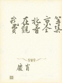 我在北京等你免费观看全集电视剧