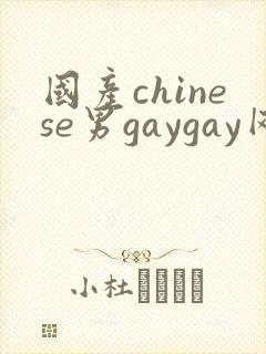 国产chinese男gaygay网站