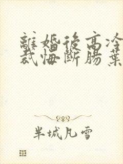 离婚后高冷女总裁悔断肠叶辰封面