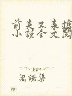 前夫又来抢萌宝小说全文阅读