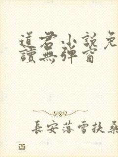道君小说免费阅读无弹窗