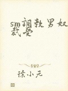 sm调教男奴总裁受