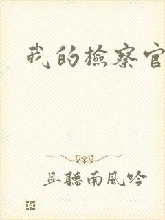 我的检察官先生