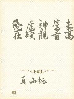 飞虎神鹰未删减在线观看高清