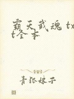 霸天武魂 txt全本封面