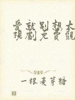 爱就别想太多电视剧免费观看全集