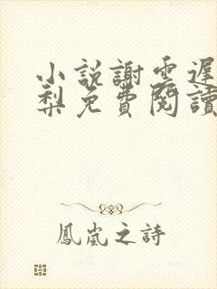 小说谢云迟沈晚梨免费阅读