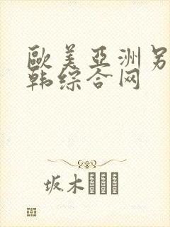 欧美亚洲另类日韩综合网封面