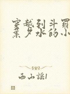 穿越到斗罗二娶叶夕水的小说